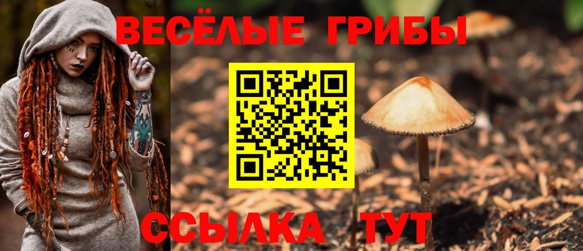 Псилоцибиновые грибы Psilocybe  Галлюциногенные грибы MAGIC MUSHROOMS  Ачинск  Вход с VPN 